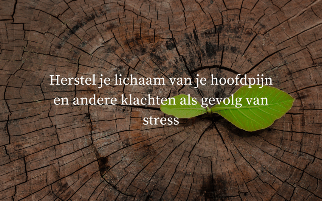 Herstel je lichaam van je hoofdpijn en andere klachten als gevolg van stress
