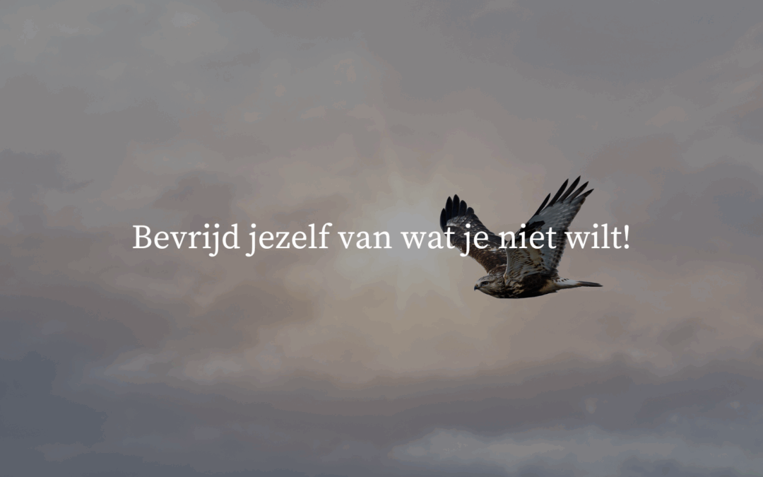 Bevrijd jezelf van wat je niet wilt!