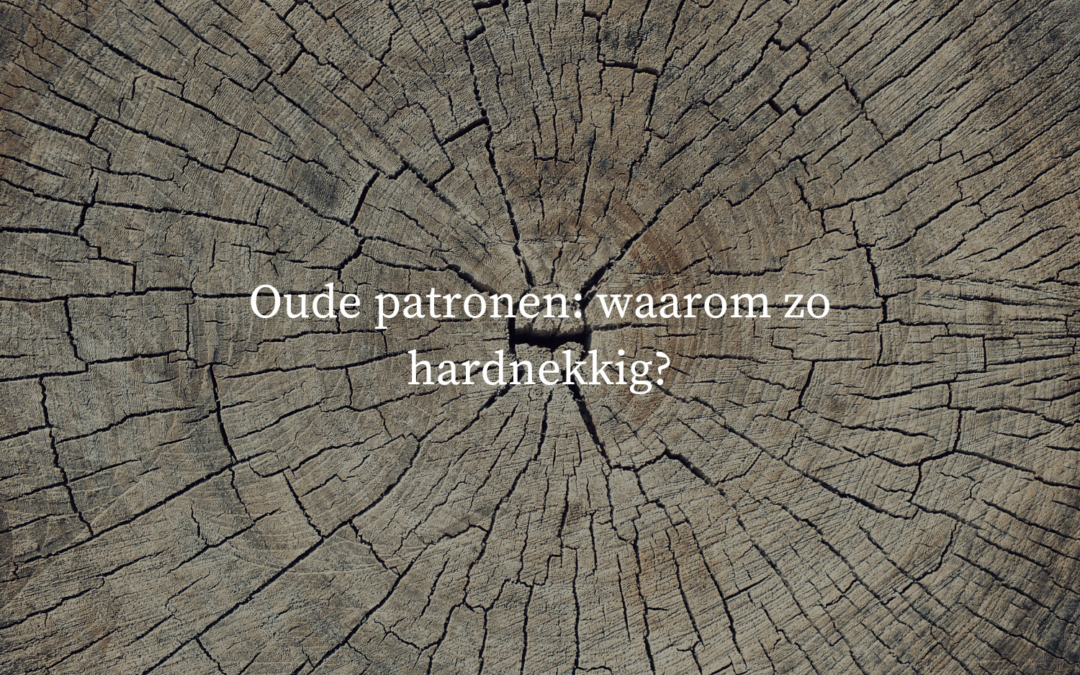 Oude patronen: waarom zo hardnekkig?