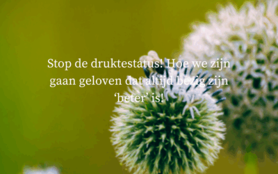 Stop de drukte – status! Hoe we zijn gaan geloven dat altijd bezig zijn ‘beter’ is!