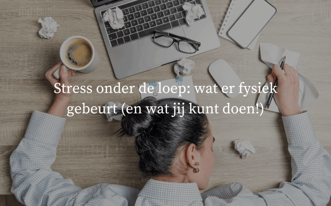 Stress onder de loep: wat er fysiek gebeurt (en wat jij kunt doen!)